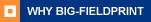 WHY BIG-FIELDPRINT